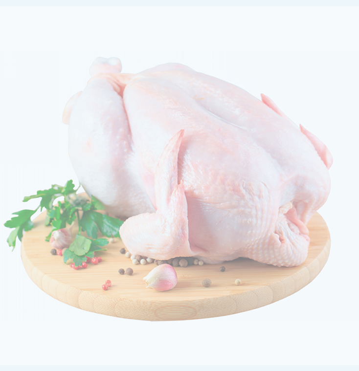 Whole raw chicken prepared for product presentation