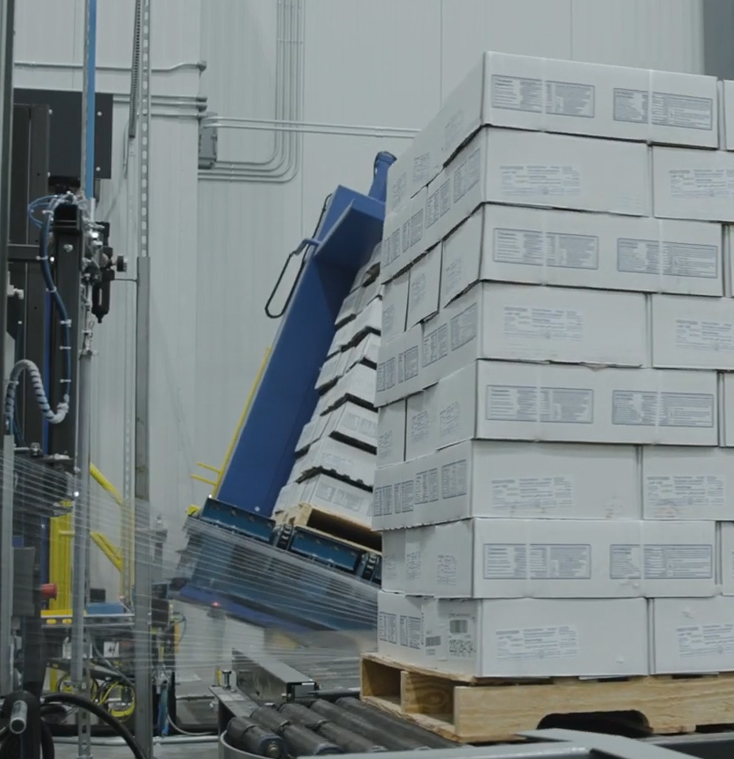 hatching eggs suppliers