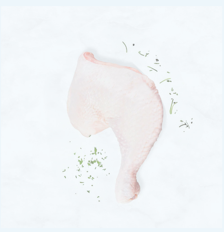 Raw chicken leg quarter